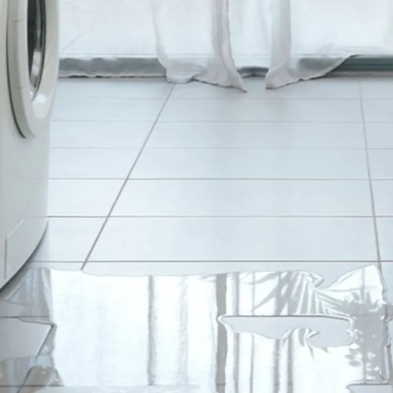 Appliance Leak Cleanup in Cibolo, TX