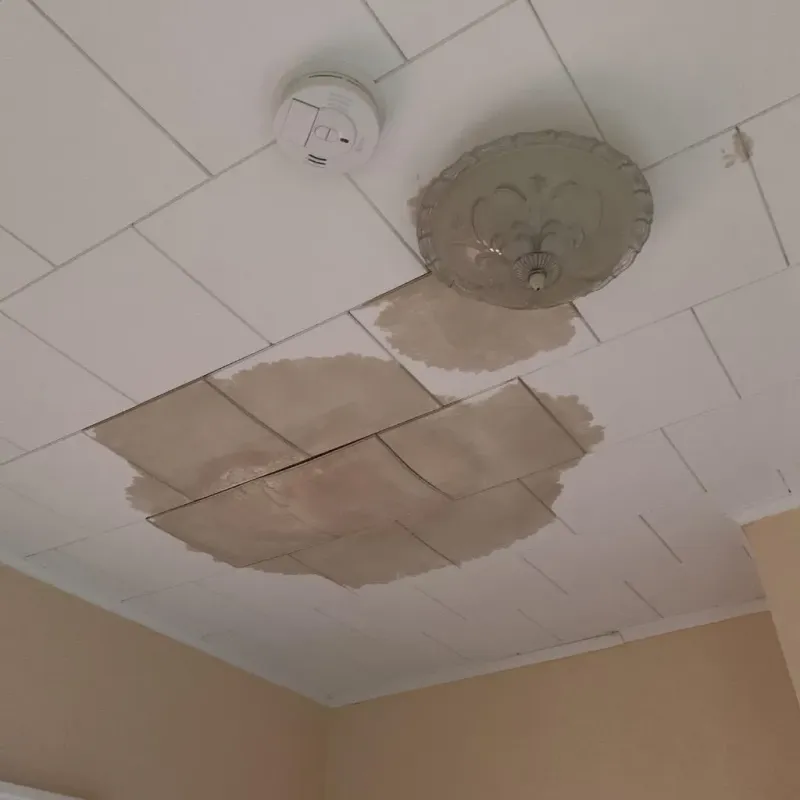 Ceiling Water Damage Repair in Cibolo, TX