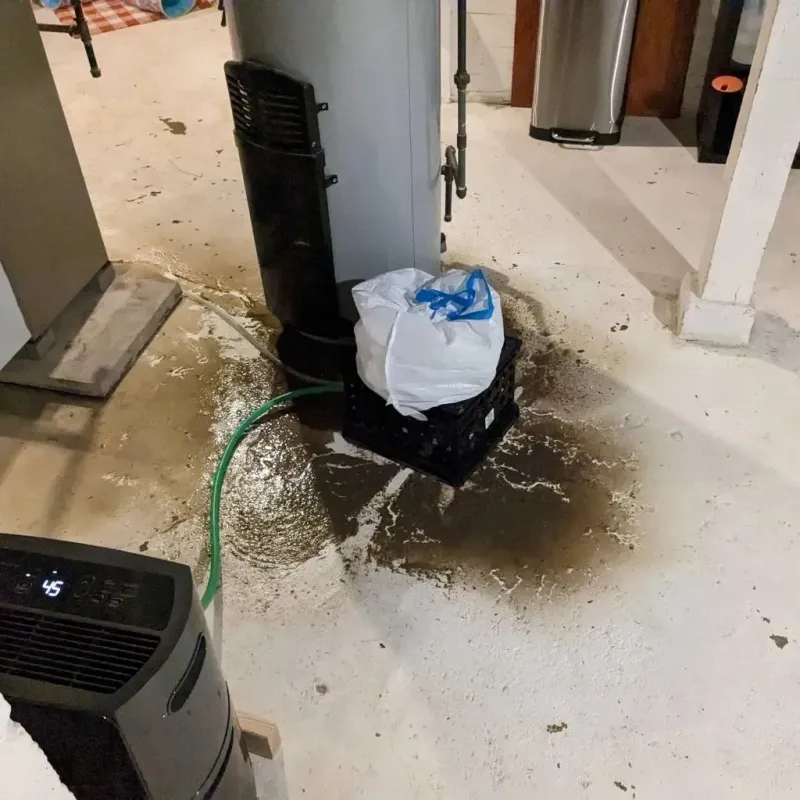 Sewage Backup Cleanup Service in Cibolo, TX